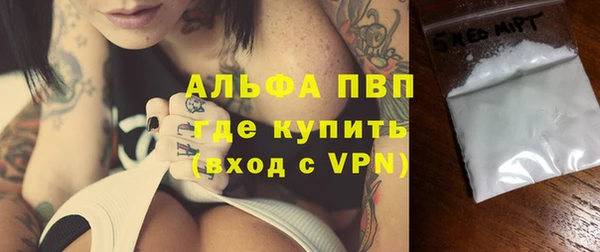 сатива Балахна