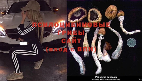марихуана Арсеньев
