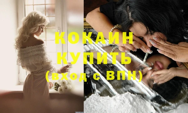 сатива Балахна
