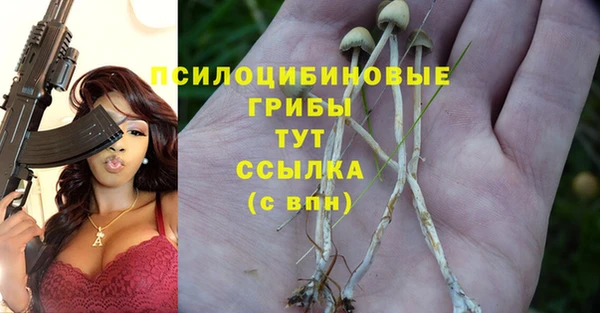 сатива Балахна