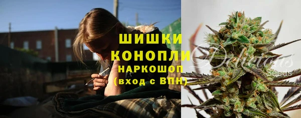 стаф Баксан