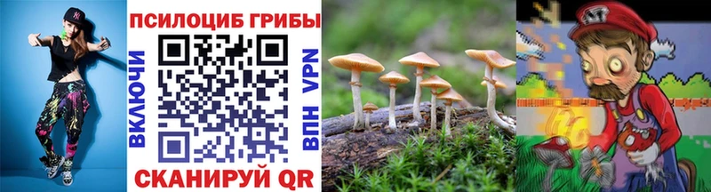 Купить где  Волчанск  Галлюциногенные грибы Psilocybine cubensis 